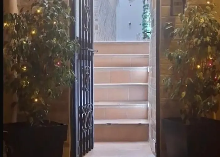 一卧室公寓